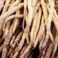 Asparagus Racemosus Extract